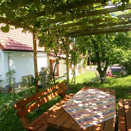 Ferienhaus Koller Гюссинг Экстерьер фото