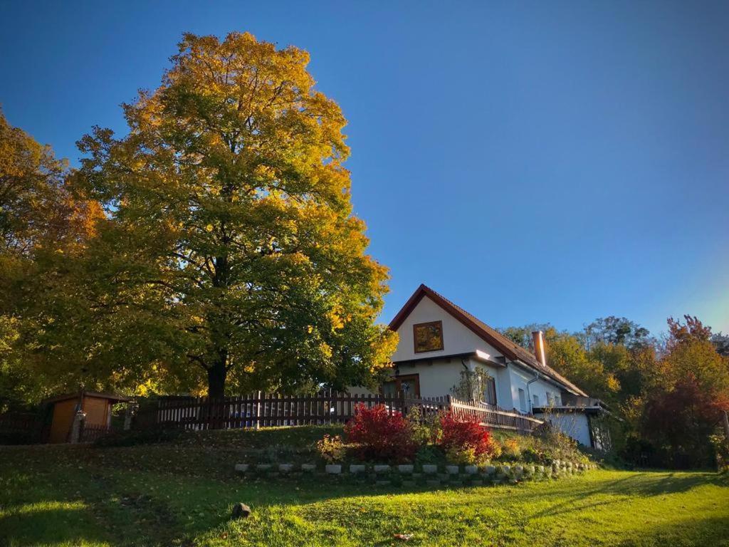 Ferienhaus Koller Гюссинг Экстерьер фото