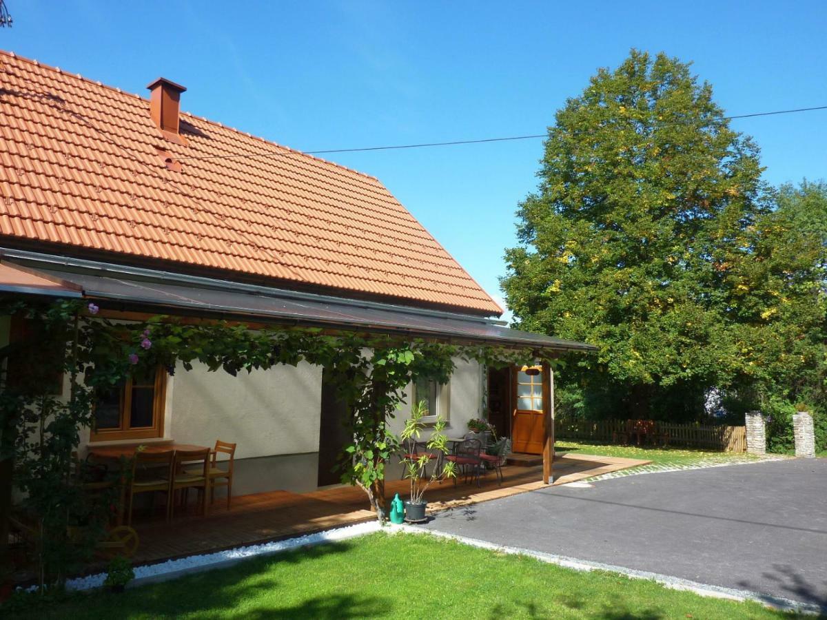 Ferienhaus Koller Гюссинг Экстерьер фото