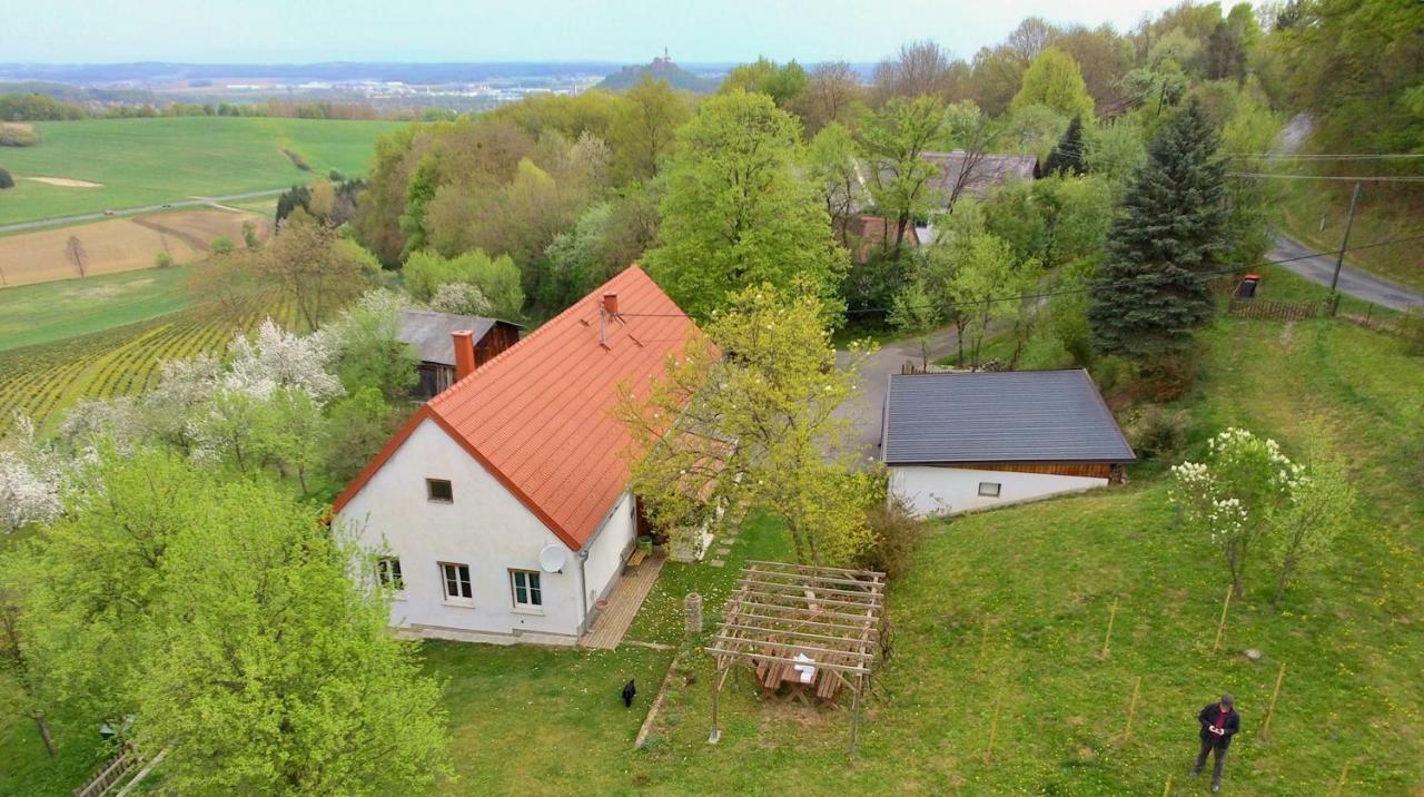 Ferienhaus Koller Гюссинг Экстерьер фото